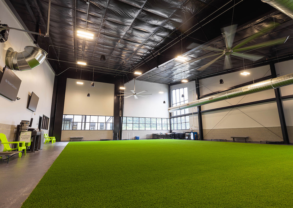 Paws and Pints large indoor grass area