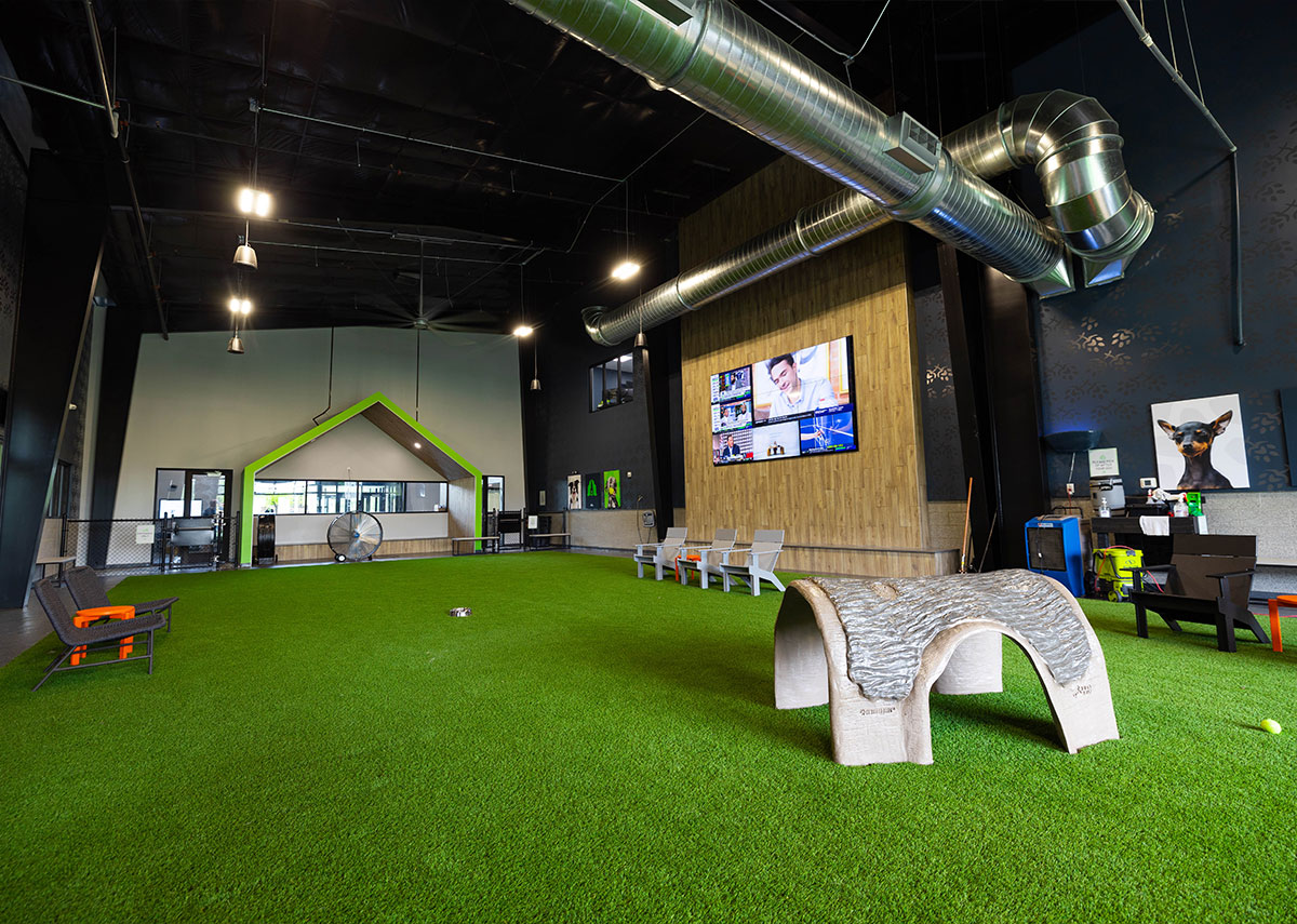 Paws and Pints Indoor play area
