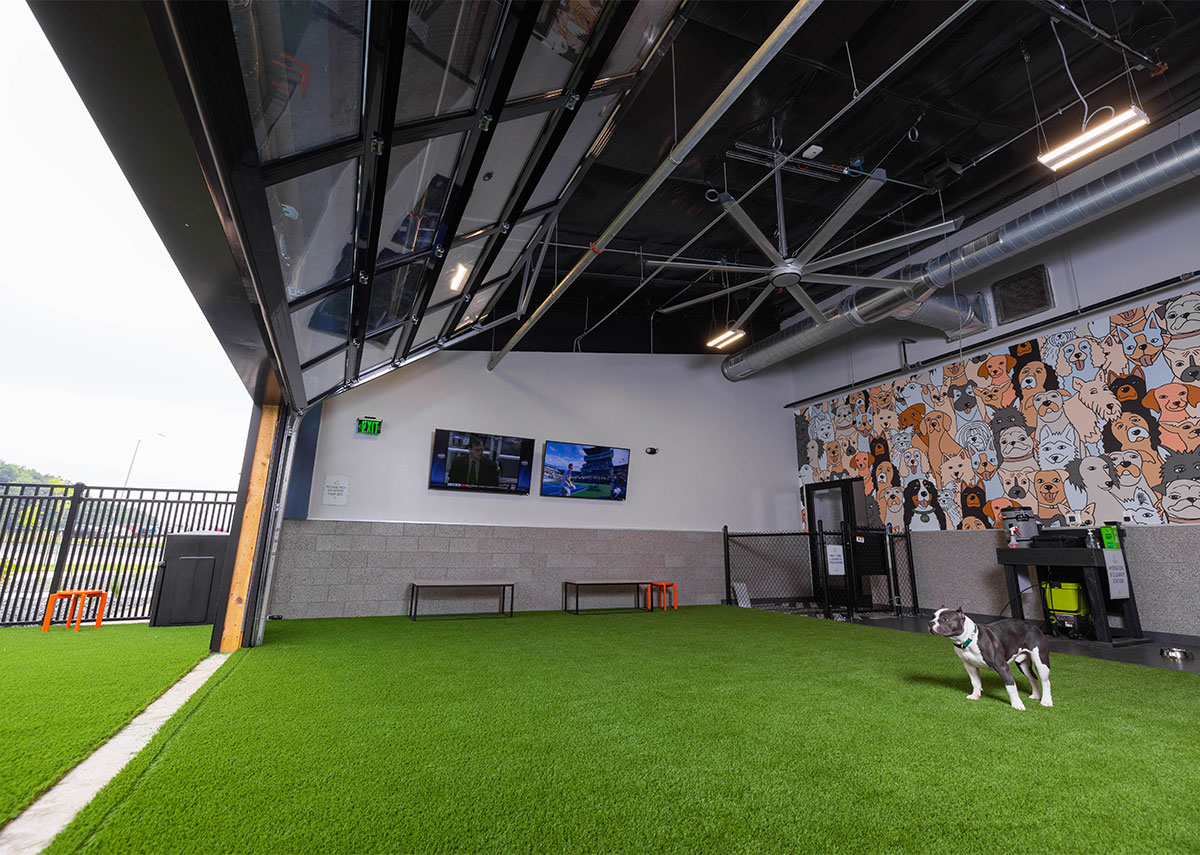 Paws and Pints indoor outdoor dog play area