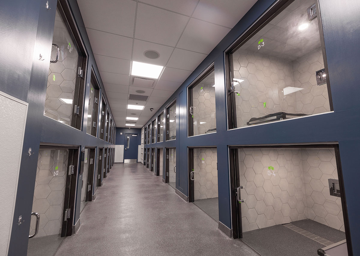 Paws and Pints kennels