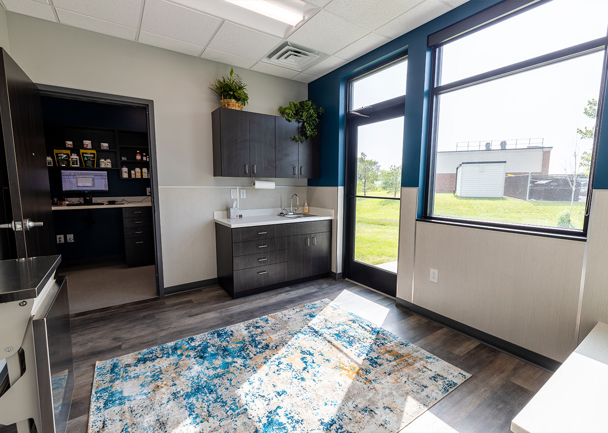 Carlisle Veterinary Clinic Exam Room