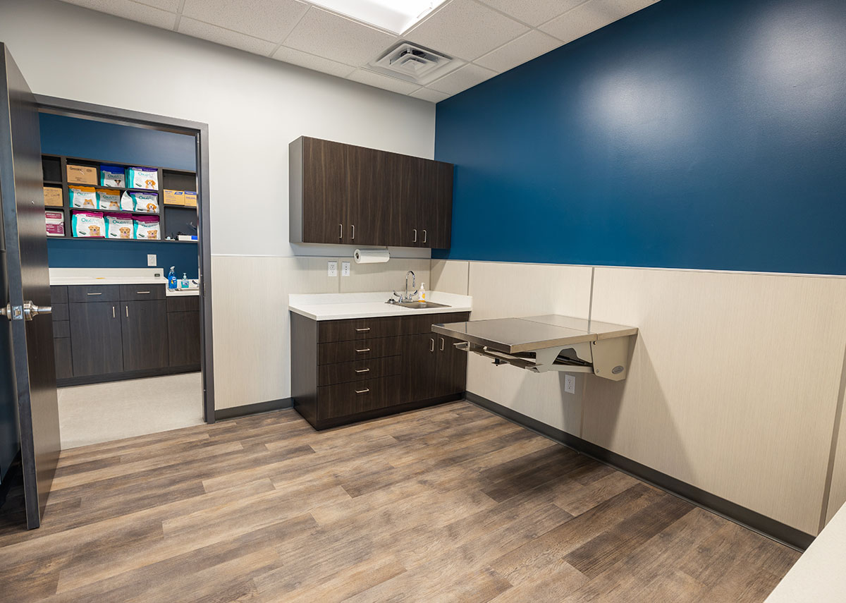Carlisle Veterinary Clinic exam room
