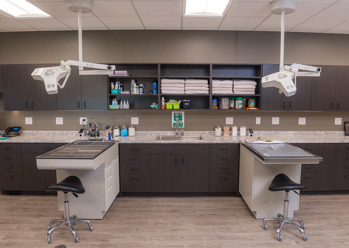 Pet Medical Center Work Stations